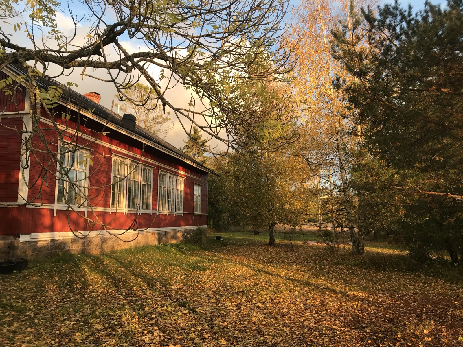 The long red Little Red Schoolhouse with white-trimmed windows, framed by birches in golden autumn light in Taivassalo
